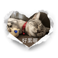 Emily_20230527014113