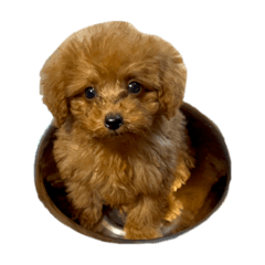 ウォルのスタンプ　1