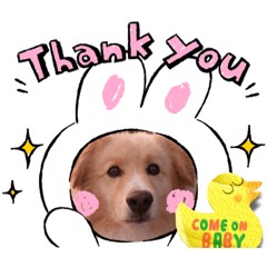 ゴン太の1日骨っ子