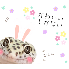 レオパたちの日常スタンプ