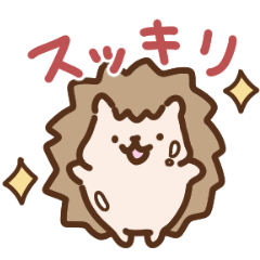 ハリネズミの日常色々