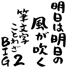 毎日使える筆文字ことわざBIG2