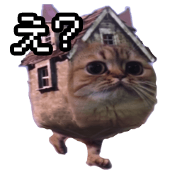 猫ミーム【戸建て猫】