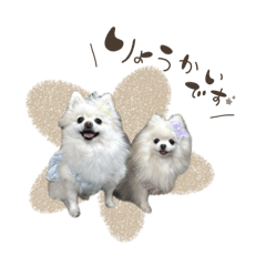 himawari to yukainanakamatachi