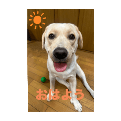 ラブリー日常シリーズ①