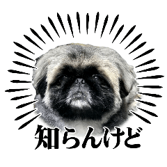 さすけが可愛いスタンプ2