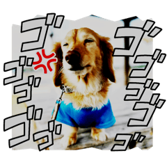 がんばるひなた