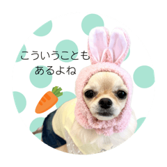 Kohana＊すたんぷ⑥