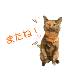 あられときどきちょこときどきおはぎ