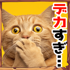 【BIGにゃんこ大選挙】