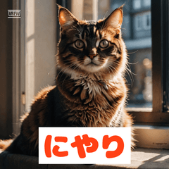 ゆるっとネコちゃんスタンプ