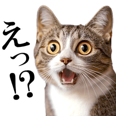 動く！猫の日常2