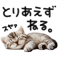 やる気ゼロ♡にゃんこ