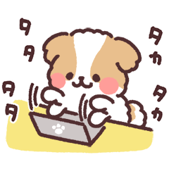 ふわふわシーズー お仕事！