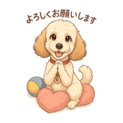 RENO-オーストラリアンラブラドゥードル-2