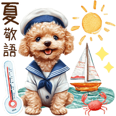 夏だよ！敬語でトイプードル