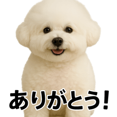 うちの子AIスタンプ〜ビションフリーゼ〜