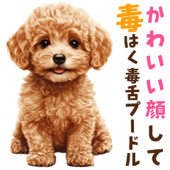 毒舌トイプードルの日常会話