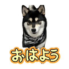 黒柴もっちゃんスタンプ