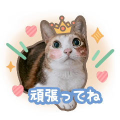 世界一かわいい♡じゅじゅ＆おおちゃん