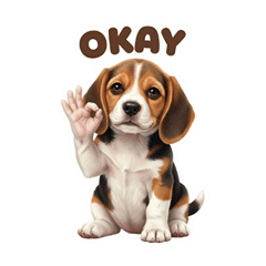 Beagle Dog Says It All