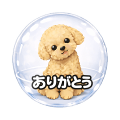 ガラス玉の中のトイプードル　仕事にも！