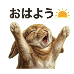 ロップイヤーの紅葉くん