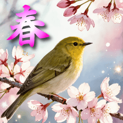 飛び出す【春】ずっと使える大人のご挨拶