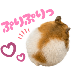 ひなちゃんもいっしょ