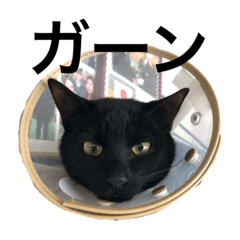 君ら仲悪いん？