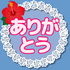 動く！大人可愛い毎日使えるレース