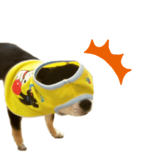 わんころぎんちゃん2