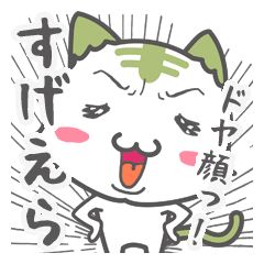 静岡弁いいら！しぞ〜かねこ茶さん！