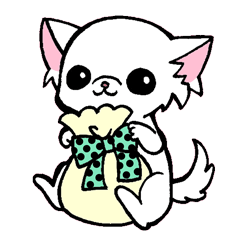 チワワの豆千代