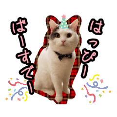 ごままる君の日常 その3