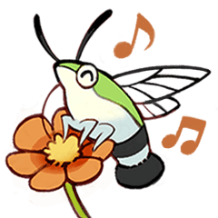 ころっとしたスズメガ