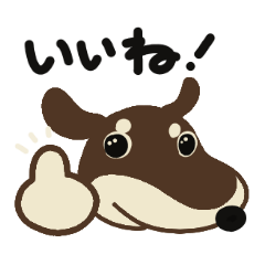 ミニチュアダックス（チョコ＆クリーム）