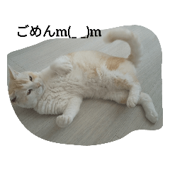 マロン＆すず(ねこ) スタンプ