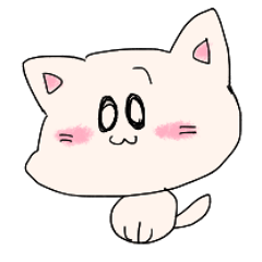 顔が大きい子猫