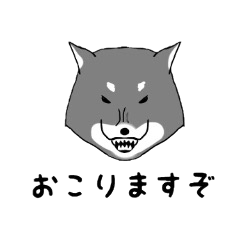 黒柴犬くろしば！Japanese Shiba Inu！