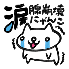 涙腺崩壊にゃんこ