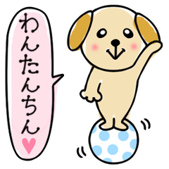 ★わんたんちん★