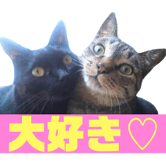 大好きなあいちゃん