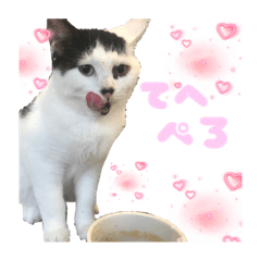 香辛料ファミリー③