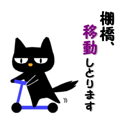 黒ねこ 棚橋