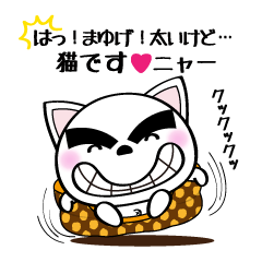 眉毛の太い猫。