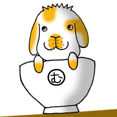 ホーランドロップのむぅちゃん