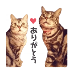 小鉄へ太郎より