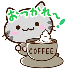 小さいアメショ２