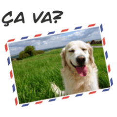 シラノのフランス語あいさつ